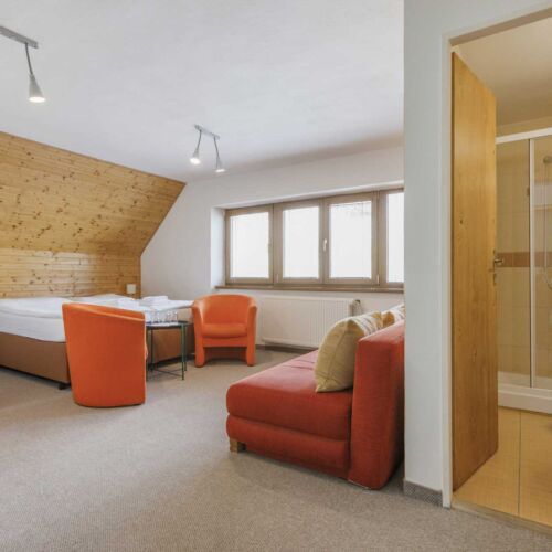 Camera tripla standard cu duș (se poate solicita pat suplimentar)