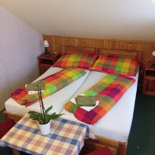 Pokoj s koupelnou  s manželskou postelí