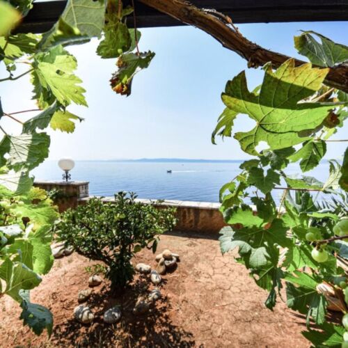 Apartament 3-osobowy z klimatyzacją na parterze z 2 pomieszczeniami sypialnianymi