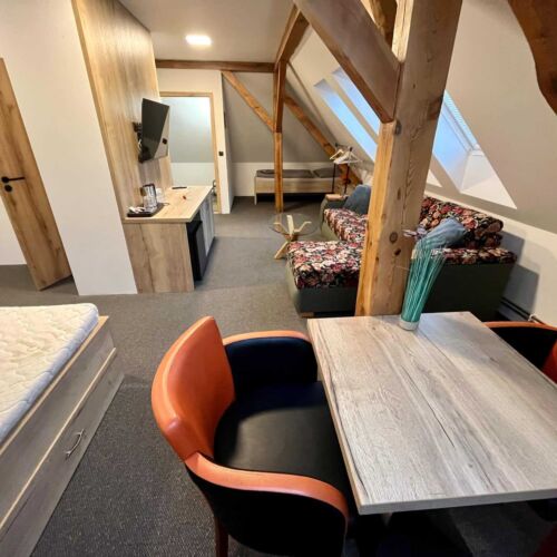 Camera cvadrupla cu duș (se poate solicita pat suplimentar)