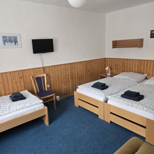 Economy Triple Room with Shower