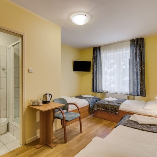 Ground Floor Triple Room ensuite