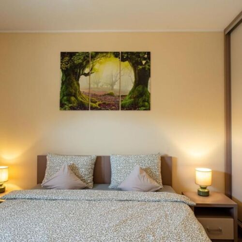 Apartament 6-osobowy z balkonem z 2 pomieszczeniami sypialnianymi