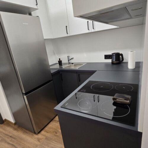 Economy 2-Room Air Conditioned Apartment for 4 Persons