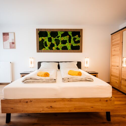 Mountain View Premium 2-Room Apartment for 4 Persons