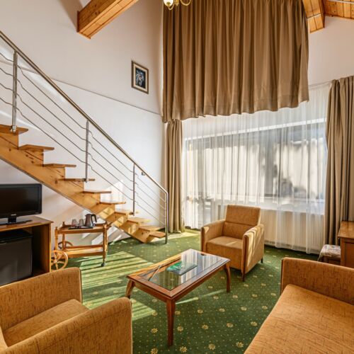 Apartament loft cu 1 camera pentru 4 pers.