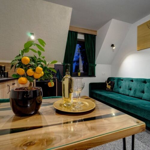 Mountain View 1-Room Family Apartment for 5 Persons (extra bed available)