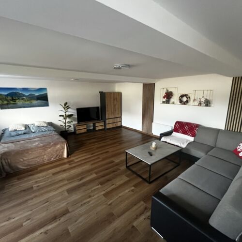 Apartament 4-osobowy Przyjazny podróżom rodzinnym pokój wieloosobowy  z 2 pomieszczeniami sypialnianymi