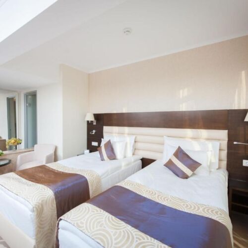 Business Twin Room