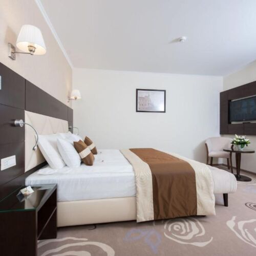 Business Double Room
