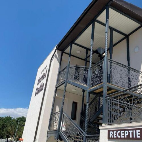 Camera dubla cu balcon dalia