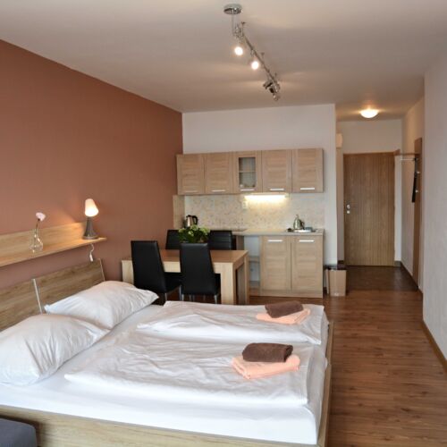 Apartament 2-osobowy Standard Studio z 1 pomieszczeniem sypialnianym (możliwa dostawka)