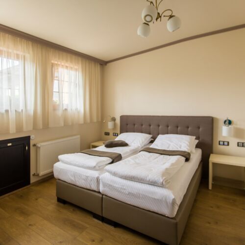 Camera dubla twin family