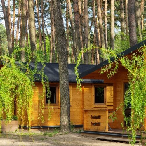 Cabană confort cu vedere spre pădure pentru 5 pers. (se inchirieaza doar integral)