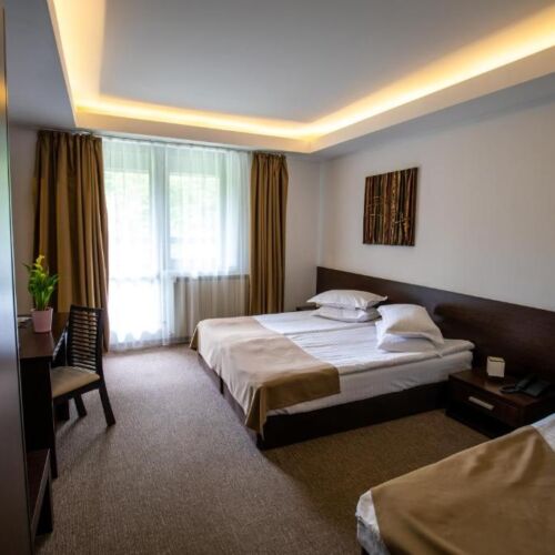 Camera twin standard cu vedere spre munte