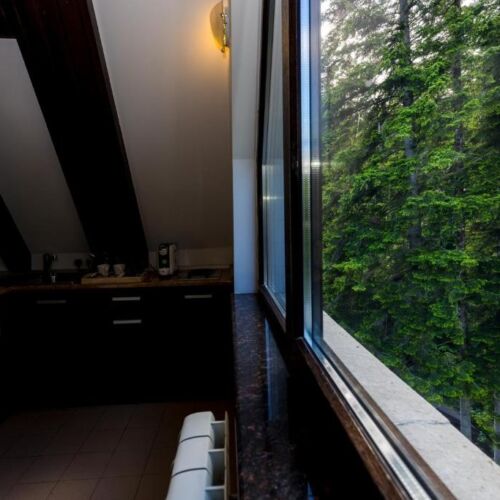 Apartament confort cu 1 camera pentru 2 pers.