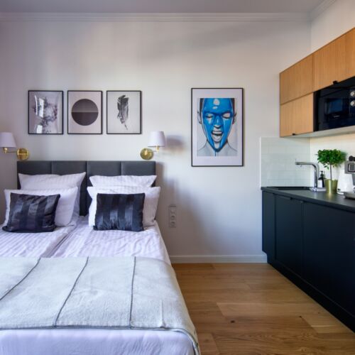 Apartament 2-osobowy Deluxe z klimatyzacją z 1 pomieszczeniem sypialnianym