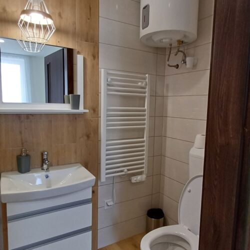 Comfort Pleasant Interior Design 1-Room Apartment for 2 Persons