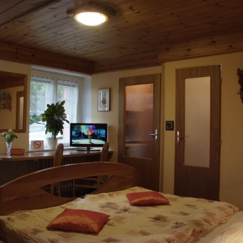 Economy Pokoj s manželskou postelí s výhledem do zahrady