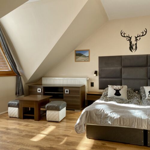 Pokój 2-osobowy na piętrze z widokiem na góry (możliwa dostawka)