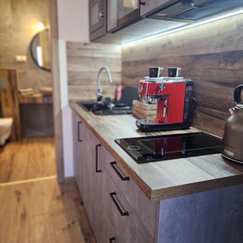 Apartament 4-osobowy na parterze z 2 pomieszczeniami sypialnianymi