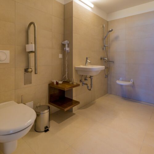 Superior Barrier Free Twin Room