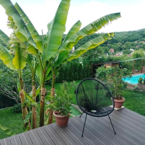 Apartament cu 1 camera pentru 2 pers.