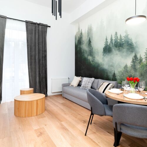 Apartament 2-osobowy z 1 pomieszczeniem sypialnianym