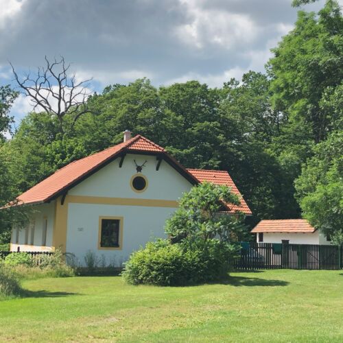 Domek całoroczny 7-osobowy cały dom z widokiem na las (możliwa dostawka)