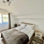 Vila Sofia Hateg