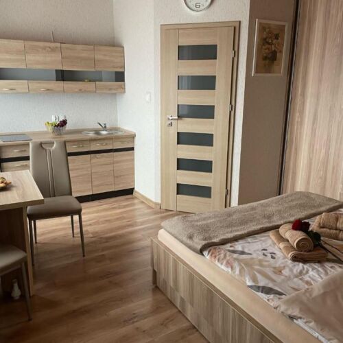 Garden View 1-Room Apartment for 3 Persons