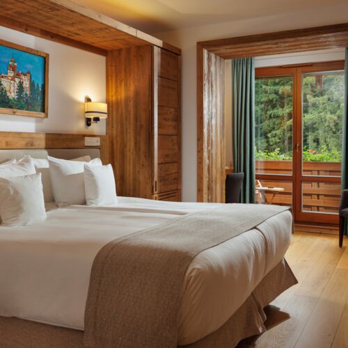 Camera dubla standard