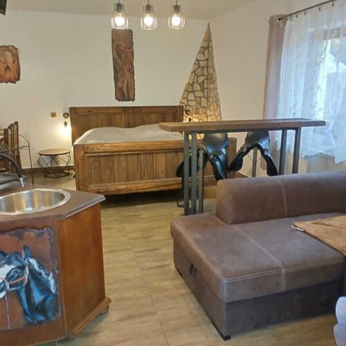 Apartman s terasou s vlastní kuchyňkou s manželskou postelí s 1 ložnicí (s možností přistýlky)