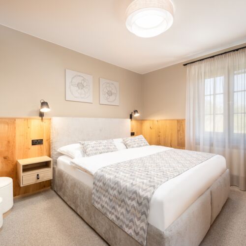 Deluxe Pokoj se sprchou s manželskou postelí