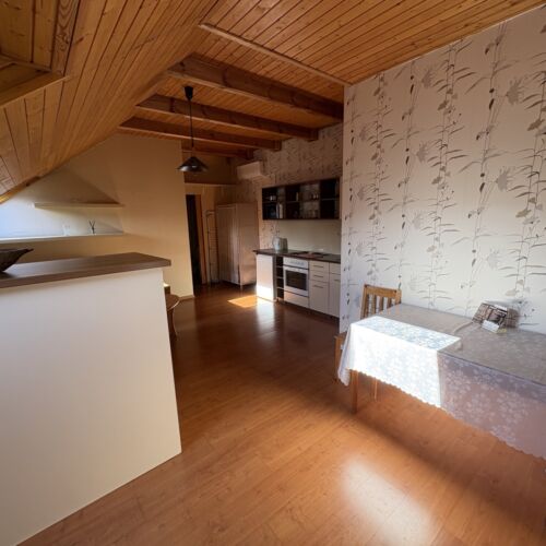 Apartament confort cu aer condiționat cu 1 camera pentru 2 pers. (se poate solicita pat suplimentar)