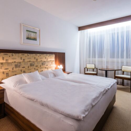 Superior Pokoj s koupelnou pro 2 os.