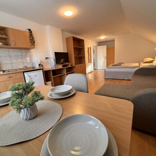 1-Room Balcony Air Conditioned Apartment for 2 Persons (extra bed available)