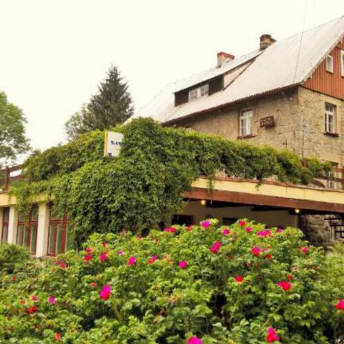 Apartament 3-osobowy z 1 pomieszczeniem sypialnianym