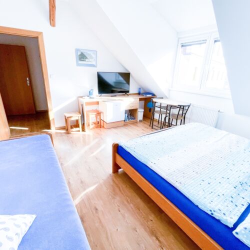 Pokoj pro 3 os. s výhledem na město v podkroví