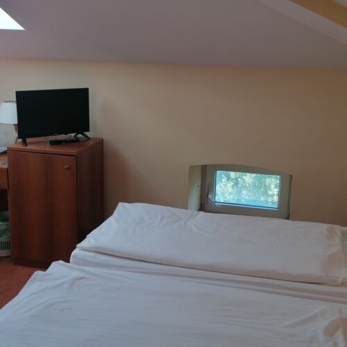 Economy Mansard Twin Room
