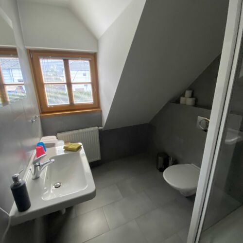 Camera tripla cu duș