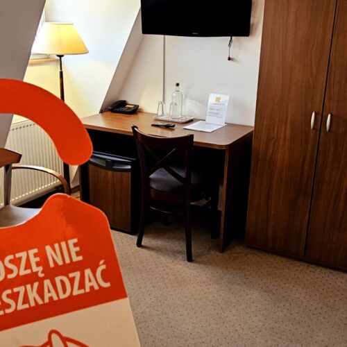 Pokój 1-osobowy Standard z widokiem na miasto