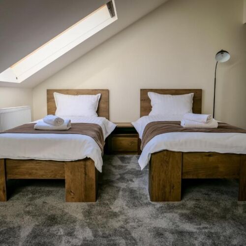 Camera twin la mansardă cu vedere spre parc