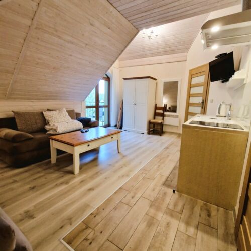 Apartament 4-osobowy z 1 pomieszczeniem sypialnianym