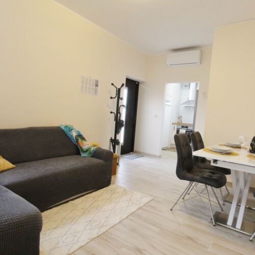 Apartament cu 1 camera pentru 2 pers. (se poate solicita pat suplimentar)