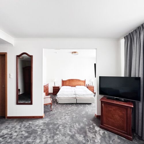 Apartament standard cu vedere spre oraș cu 1 camera pentru 2 pers.