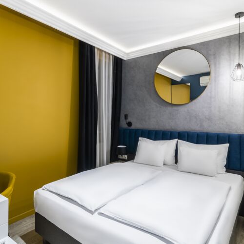 Camera dubla standard