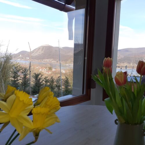 Panoramic Whole House House for 4 Persons