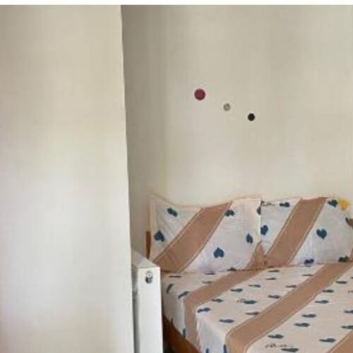 Camera dubla standard