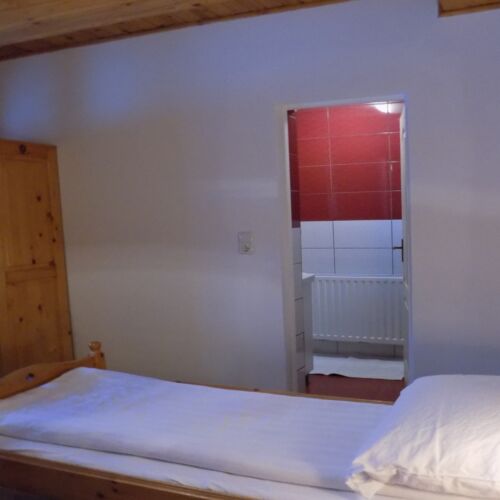 Camera dubla cu vedere spre grădină